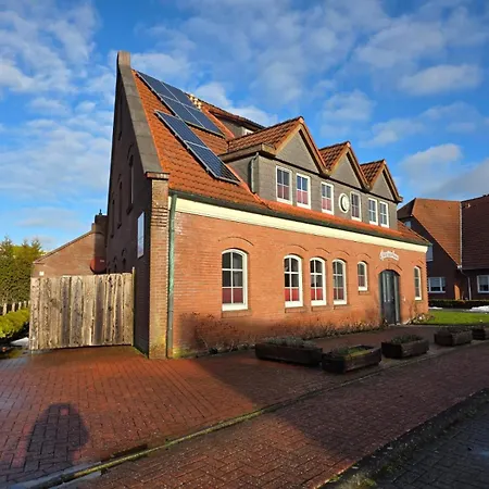Gezeitenhaus - Seeschwalbe *