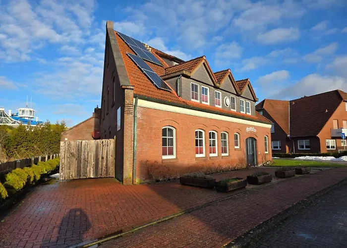Gezeitenhaus - Seeschwalbe *